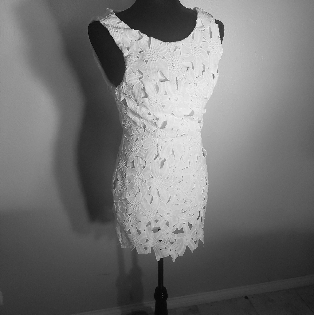 Astr White Lace Sheath Dress